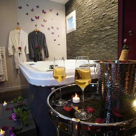 Hébergement de vacances Privé Et Piscine Chauffée à 8 Km De Toulouse Montrabe